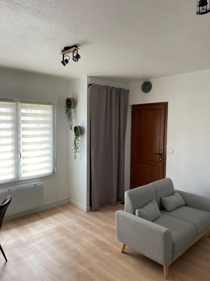 Appart Avec Chambre Lumineux Et Chaleureux Le Boulou Kültér fotó